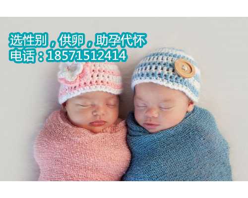 东莞代生热线,上海一妇婴做试管的姐妹有吗